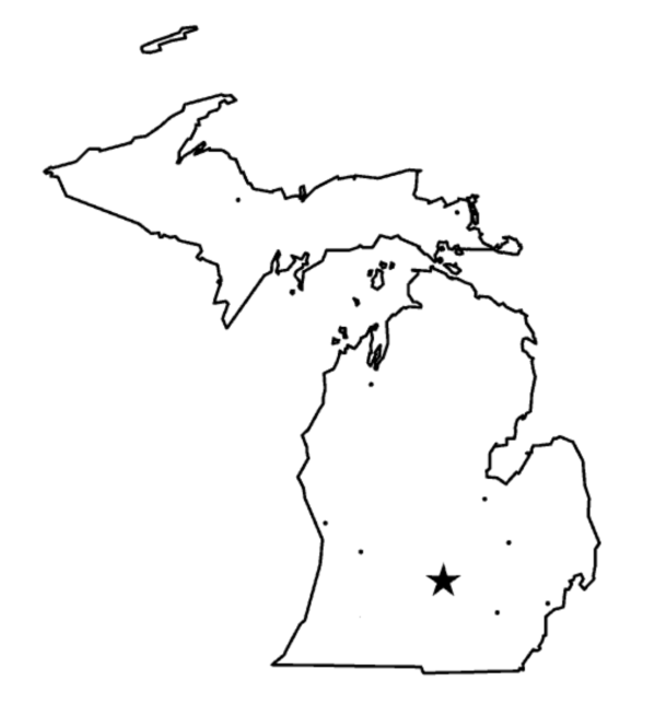 junkyards in michigan